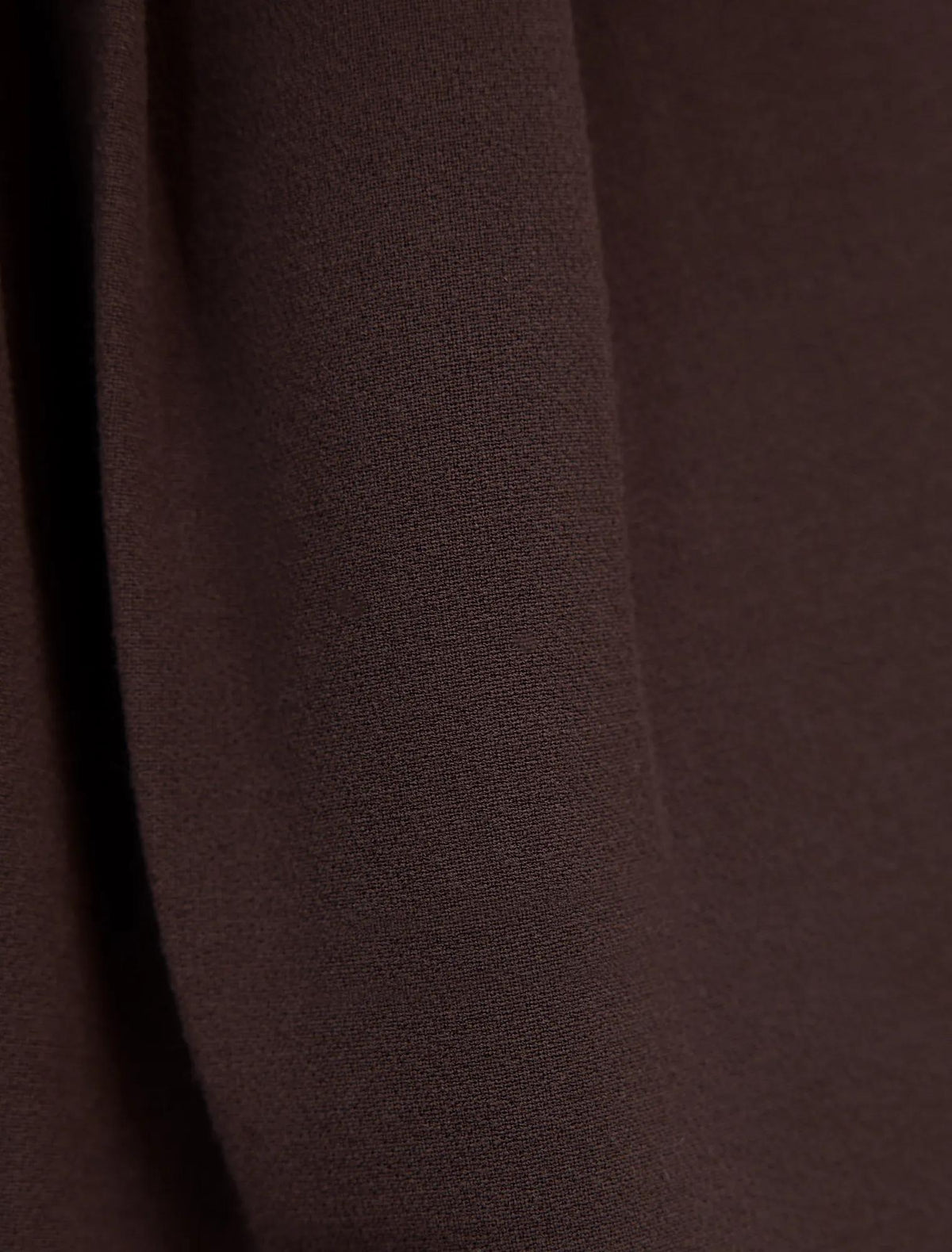 Eva Petite Pleat Wide Leg Pant Chocolate