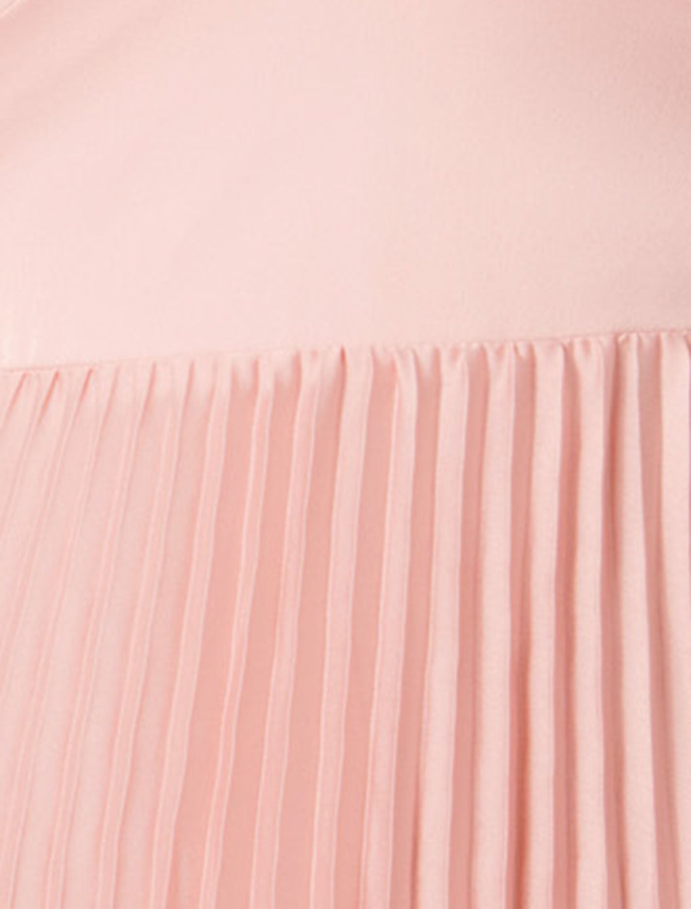 Chloe Petite Pleated Dress Soft Blush