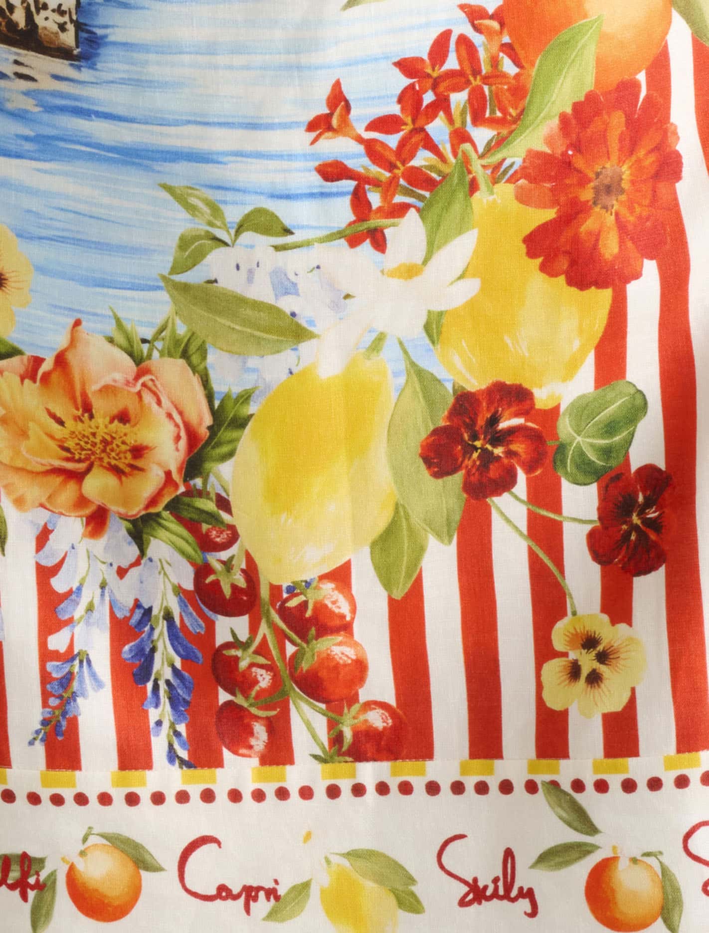 Sierra Printed Mini Dress Tropea Postcard