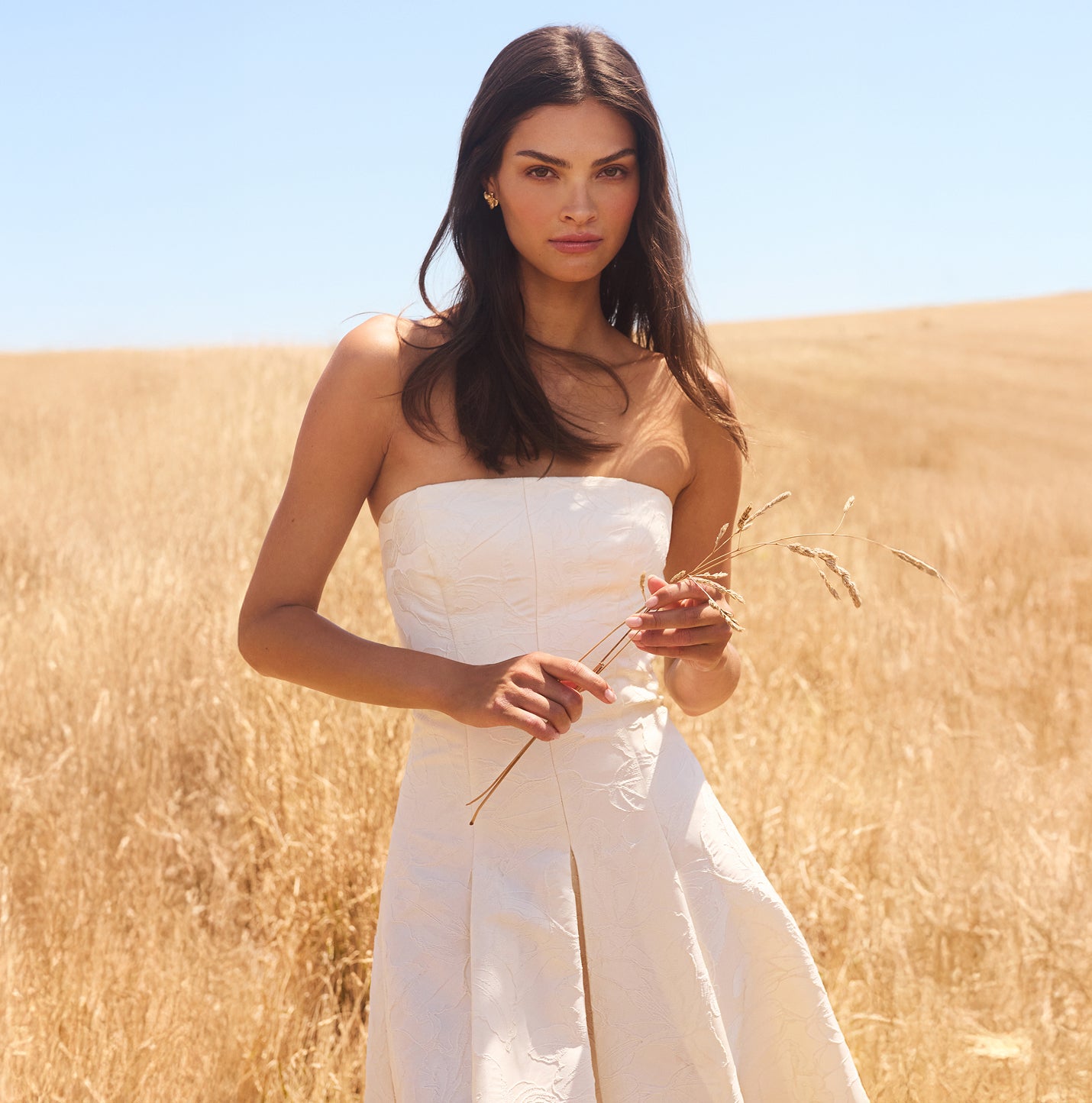 Ever New | Women's New In | Dresses | Party Dresses | Cocktail Dresses | Shop Now